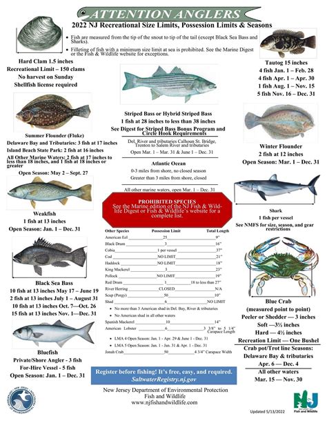 Keep fish only during open seasons. . New jersey 2022 fishing regulations
